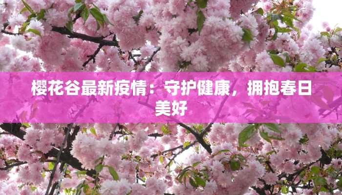 樱花谷最新疫情：守护健康，拥抱春日美好