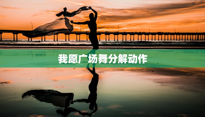 我愿广场舞分解动作