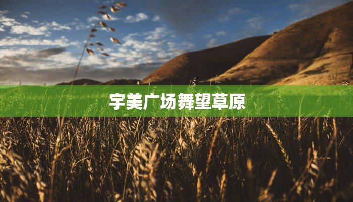 宇美广场舞望草原