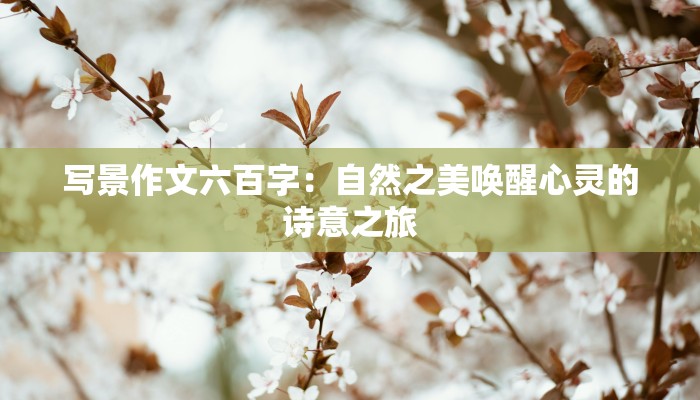 写景作文六百字：自然之美唤醒心灵的诗意之旅