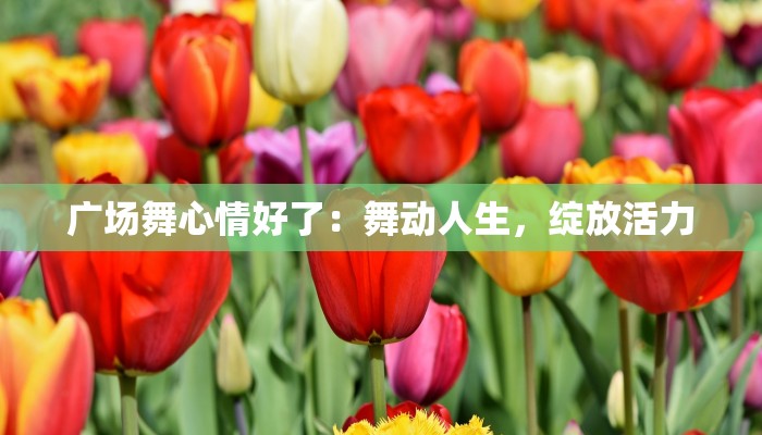 广场舞心情好了：舞动人生，绽放活力