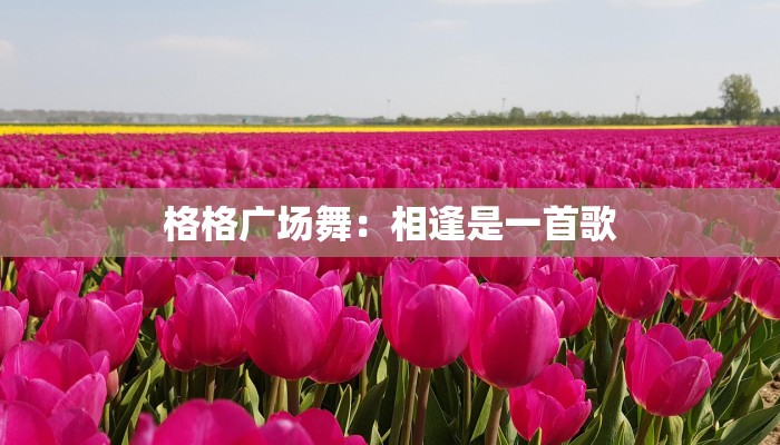 格格广场舞:相逢是一首歌 格格广场舞:相逢是一首歌