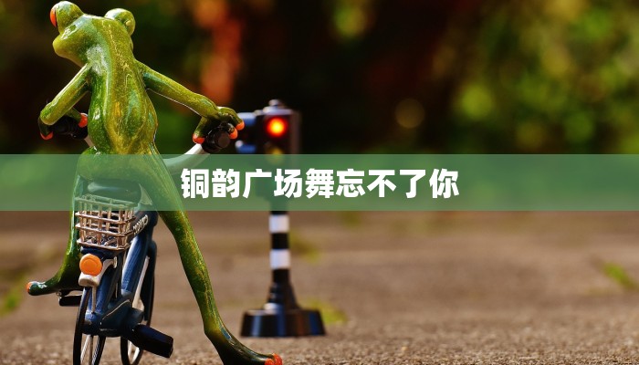 铜韵广场舞忘不了你 铜韵广场舞忘不了你