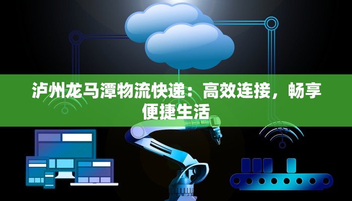 泸州龙马潭物流快递：高效连接，畅享便捷生活