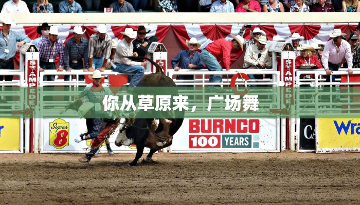 你从草原来,广场舞 你从草原来,广场舞