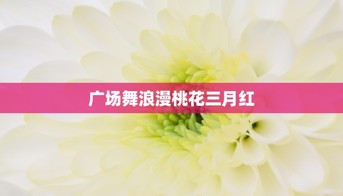 动动广场舞小苹果：活力四射的健康生活方式