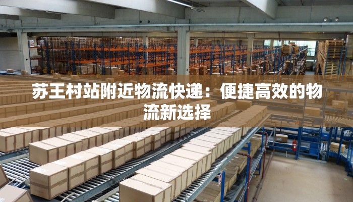 苏王村站附近物流快递:便捷高效的物流新选择 苏王村站附近物流快递:便捷高效的物流新选择